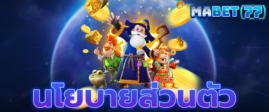 นโยบายความเป็นส่วนตัว